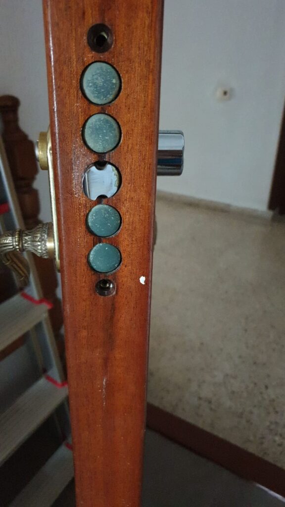 Apertura de puertas Leoz